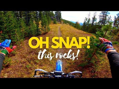Exploring New Trails has to be the best!