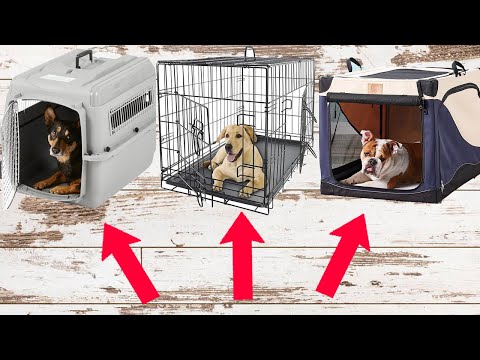 Dog Crate Size & Style Guide (Everything You Need To Know Before Buying A Crate)