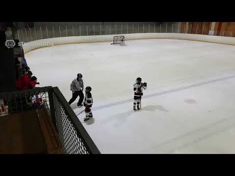 JYP E2-09 4.1.2020 JYP AAA - Ässät AAA