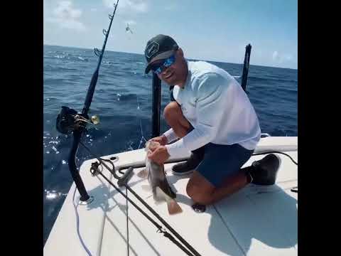 Epic Islamorada Fishing Frenzy!   Lobster, Mahi Tuna, Grouper Catch and Clean Cook | #shorts