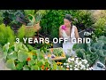 3 YEARS OFF GRID | Everything I Harvested & Cooked from My Vegetable Garden