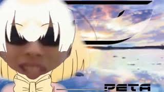 空中アスモ企画（残り100回）リセット1
