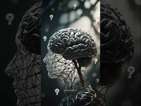 معاينة فيديو يوتيوب شورتس