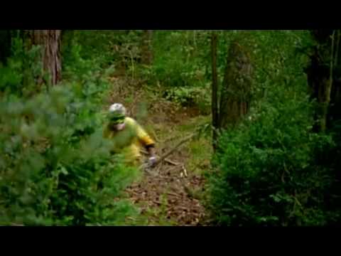 Cédric gracia Freeride.