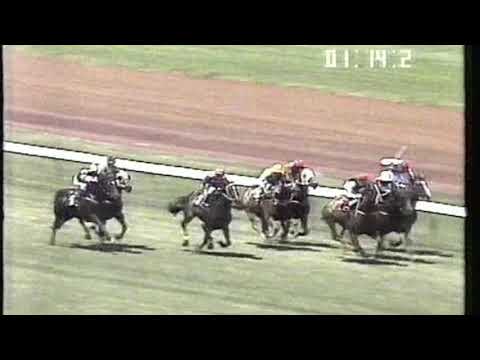1991 Chester Manifold Stakes - Super Impose