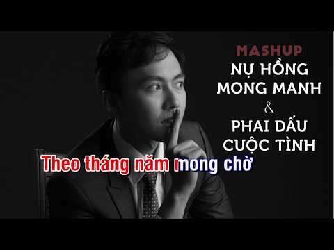 Nụ Hồng Mong Manh - Phai Dấu Cuộc Tình (Karaoke Tone Nam) | Thái Thanh Nhàn