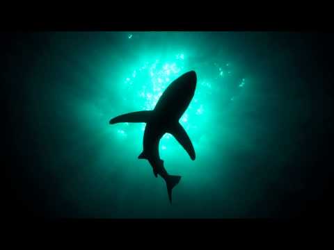 AllNight feat. Laura Brehm - Mile High (James Egbert Remix)