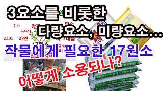 3요소를 비롯한 다량요소, 미량요소... 작물에게 필요한 17원소 어떻게 소용될까? (작물 영양분, 필수 영…