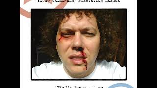 Bobby Bare Jr. - True Story