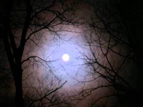 Winter Moon - Hoagy Carmichael