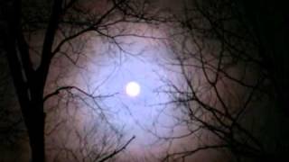 Winter Moon - Hoagy Carmichael