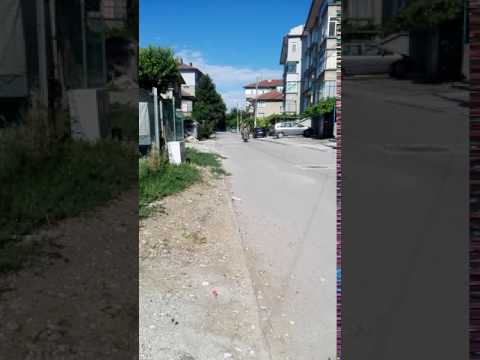 IZH 350, ISH 350, ISCH 350, иж 350 Planeta 2 1966 original