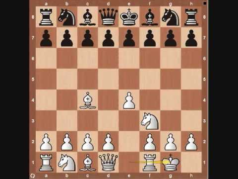 Chess Basics: Opening Principles