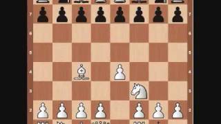 Chess Basics: Opening Principles