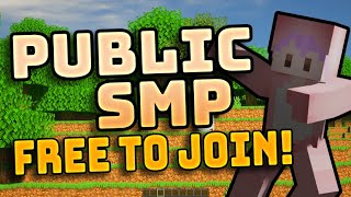 Join my NEW Public 1.17 Minecraft SMP! (Bedrock & Java)