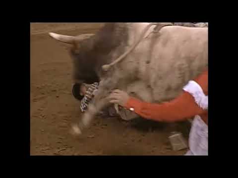 Happy Jaws hooks Curt Lyons - 98 PBR Nashville