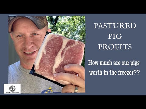 Pastured Pork Profits - Make Money With Pastured Pigs