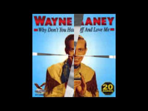 WHY DONT YOU HAUL OFF AND LOVE ME--WAYNE RANEY