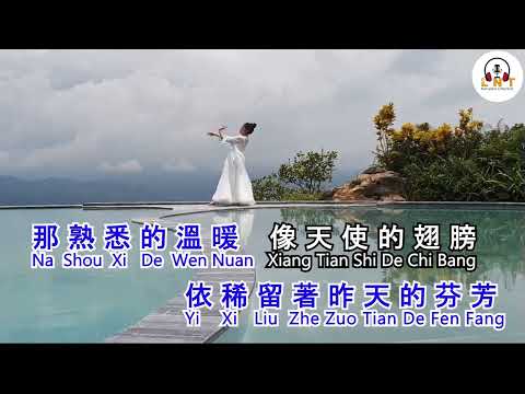 Tian Shi De Chi Bang   天使的翅膀  - Jane Tan  陈俐绢 vocal