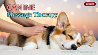 Therapeutic Dog Massage 🐾 Gentle Touch for Healing, Trust & Emotional Release