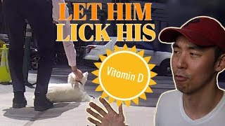 To The Stranger That Accused Me Of Animal Cruelty | #NYCLIFE Ep.1