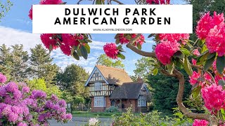 DULWICH PARK AMERICAN GARDEN | Rhododendrons | Azaleas | Spring Garden in London