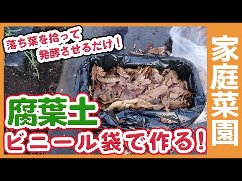 枯れ葉のリサイクルアイデア