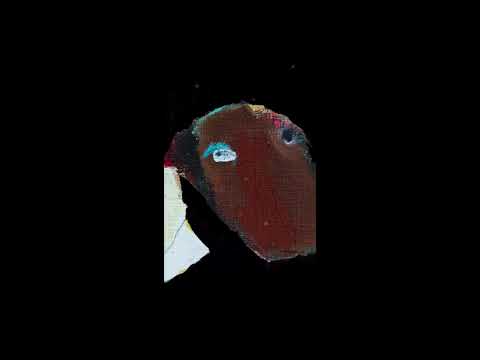 DJ Koze feat. Arnim Teutoburg-Weiss & The Düsseldorf Düsterboys - Wie schön du bist