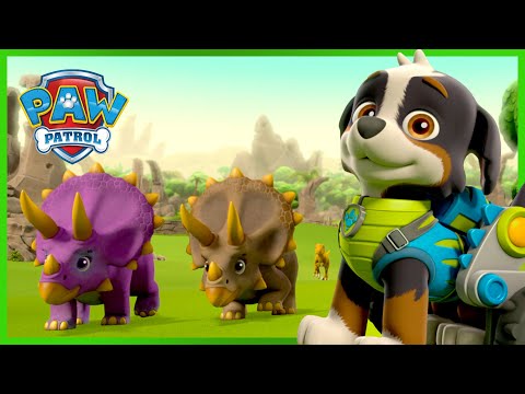Dino Rescue PAW Patrol saves dinosaurs and more! - PAW Patrol - Cartoons for Kids Compilation