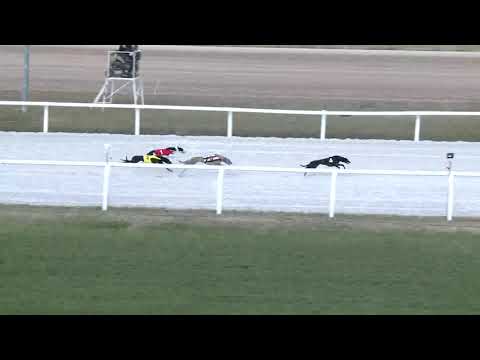 2018.12.31. Agár futam