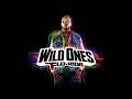 Flo Rida - Wild Ones (Full Album)
