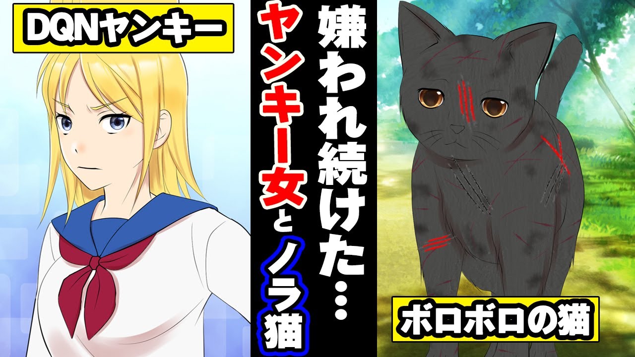 「嫌われ続けたボロボロの猫」と「愛を知らないヤンキー女」が出会った結果・・・＜ マンガ動画 ＞【タイスケの動物感動日記】