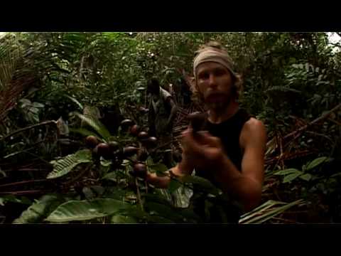 Madventures II - Papua - Matuani