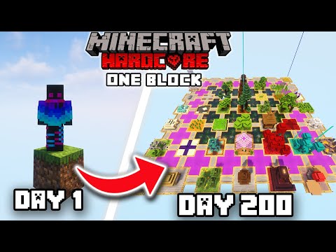 💥EPIC‼️ 200 Days in 1 Block Skyblock... CRAZY JOURNEY!!💥