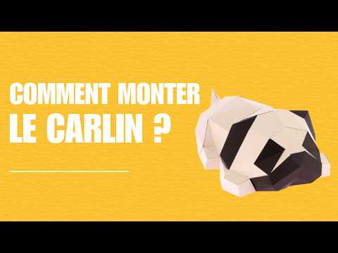 Carlin - vidéo de présentation