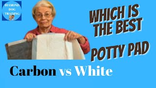 Carbon vs White Pee Pads: Which Absorbs Better?