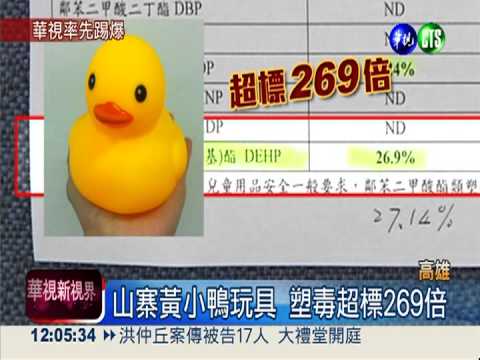 "塑毒"鴨流竄 華視獨家搶先檢驗