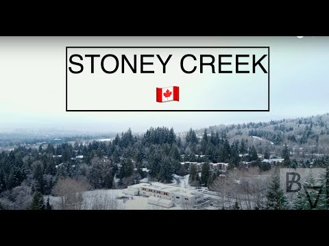 DJI MAVIC MINI 2 - 2.7K STONEY CREEK