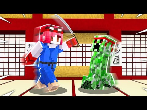 SIAMO DIVENTATI DEI NINJA! - MINECRAFT *FORTISSIMI*