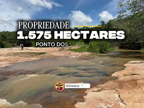EXCELENTE PROPRIEDADE 1.575 HECTARES REGIÃO DE PONTO DOS VOLANTES-MG R$ 6 MILHÕES #agro #rural #roça