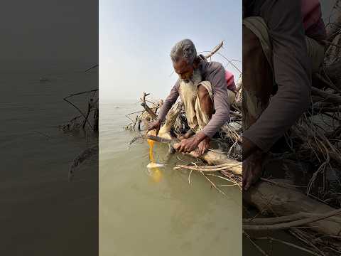 Amazing big fish catching method by hook traps #fishinglife #fishing