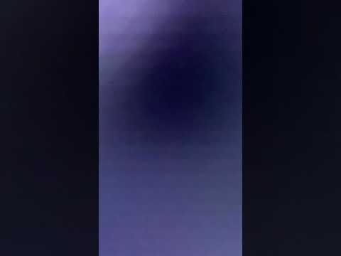 “SPEAKERFUCK” (2009)