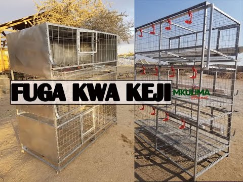 , title : 'UFUGAJI WA KUKU KWA battery cage/keji zinazotengenezwa TANZANIA'