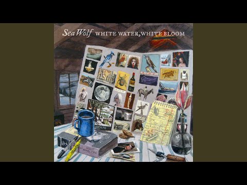 download lagu mp3 mp4 Spirit Horse Sea Wolf, download lagu Spirit Horse Sea Wolf gratis, unduh video klip Spirit Horse Sea Wolf