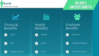Dillards Employee Benefits | Benefit Overview Summary