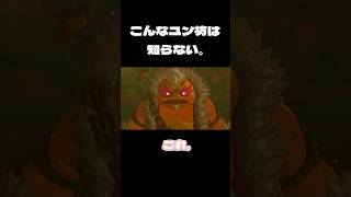 ユン坊…？ #ゼルダの伝説 #ゼルダ #ティアーズオブザキングダム #ティアキン