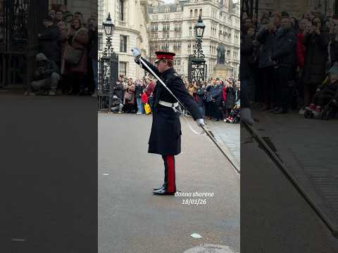 King’s Life Guard #horseguards #kingslifeguard #householdcavalry #london