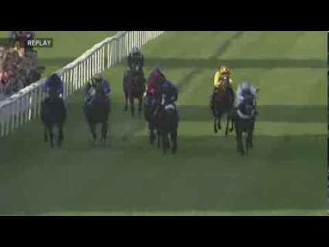 Baden Baden - Zukunfts Rennen - Groupe 3 - 28/08/13 - Imperiator