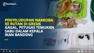 Download lagu Dua Petugas Berhasil Menggagalkan Penyelundupan Barangt Haram ke Rutan Gresik mp3