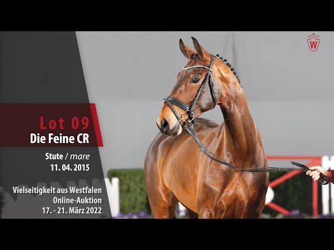 Vielseitigkeit Online-Auktion Lot 9 Die Feine CR Stute v. Don Index - Florestan l